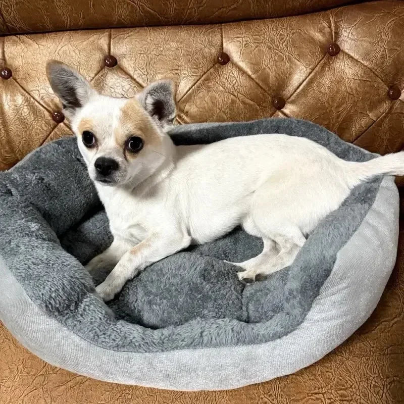 Warm & Soft Pet Bed