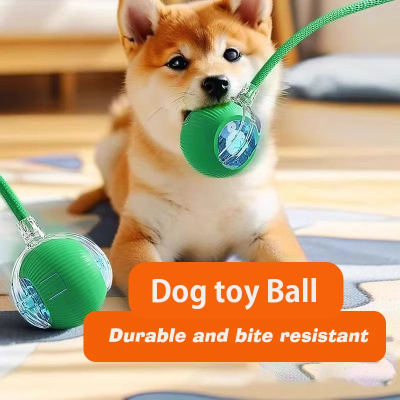 Smart Auto-Rolling Dog Ball Toy