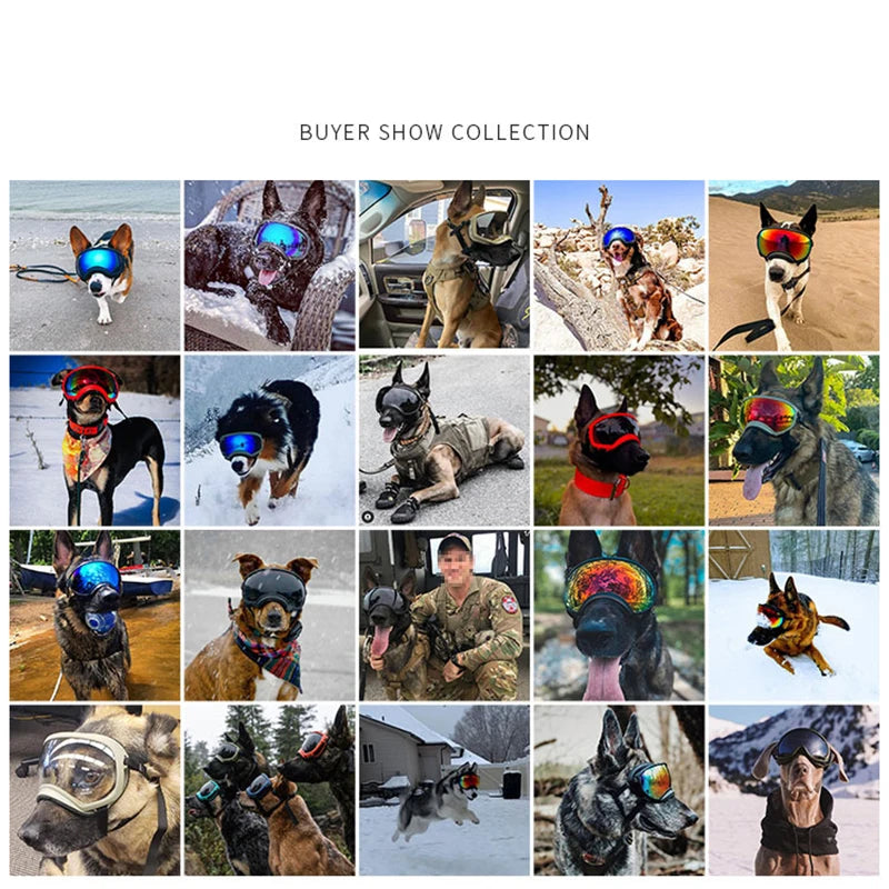 Dog Goggles – UV Protection, Windproof, Anti-Fog