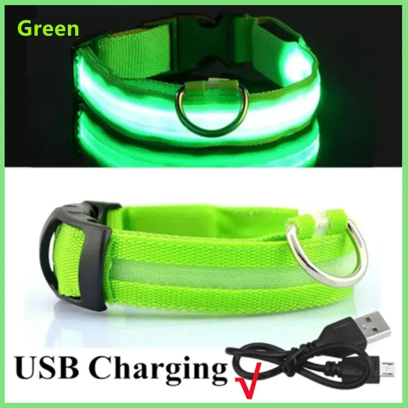 USB LED Dog Collar – Adjustable Nylon Safety Light