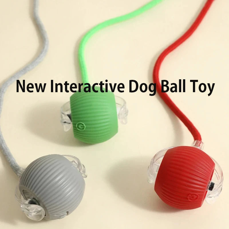 Smart Auto-Rolling Dog Ball Toy