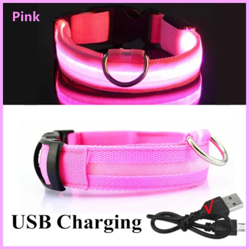 USB LED Dog Collar – Adjustable Nylon Safety Light