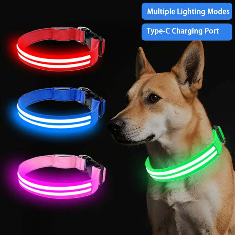 LED Rechargeable Light Up Dog Safety Collar