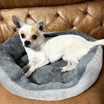 Warm &amp; Soft Pet Bed