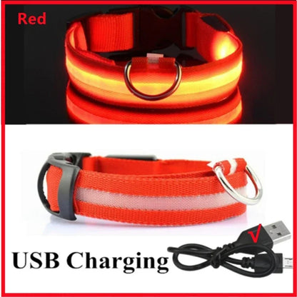 USB LED Dog Collar – Adjustable Nylon Safety Light
