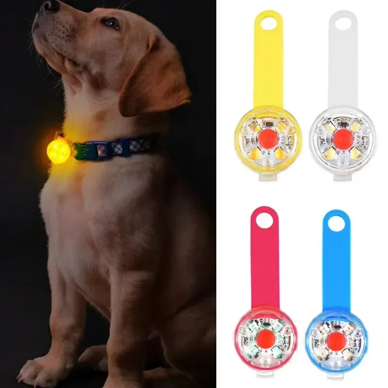 LED Pet Safety Collar – USB Rechargeable, Weatherproof