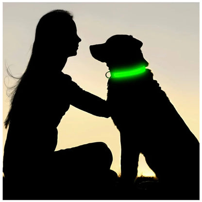 USB LED Dog Collar – Adjustable Nylon Safety Light