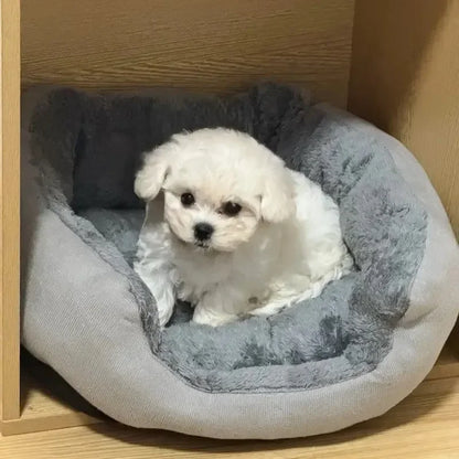Warm &amp; Soft Pet Bed