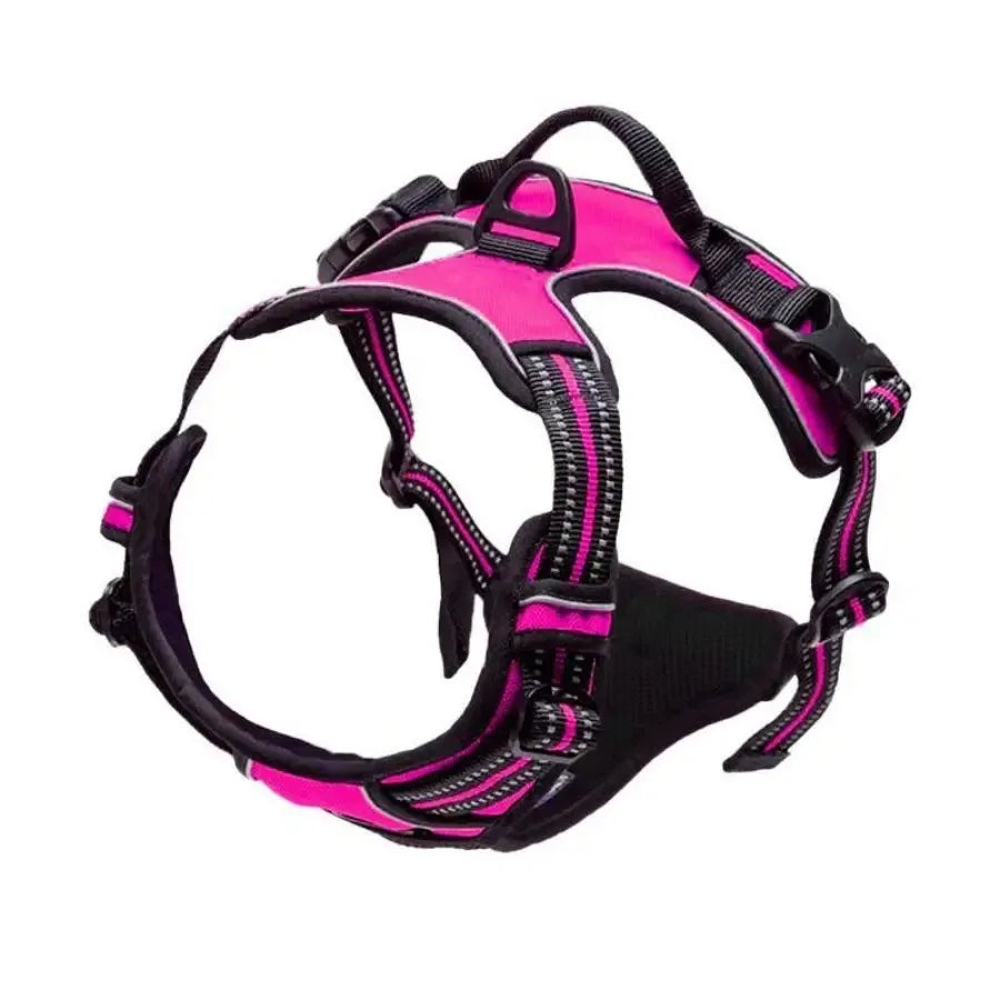 Leather Dog Collar &amp; Harness Set with Leash – Puppy Accessories for Small &amp; Medium Dogs