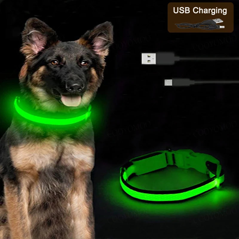 USB LED Dog Collar – Adjustable Nylon Safety Light