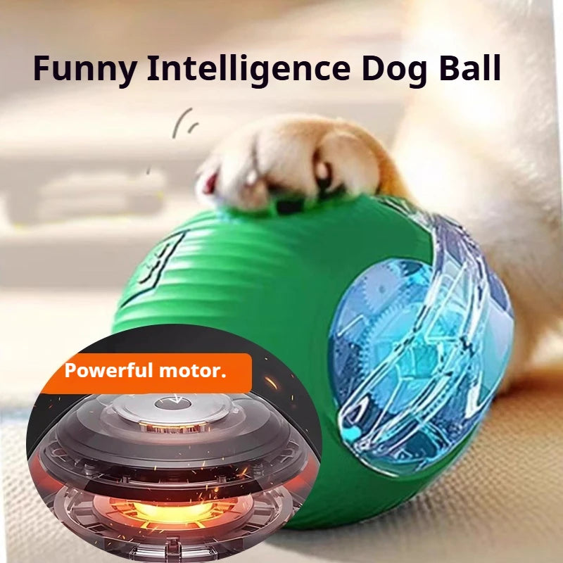 Smart Auto-Rolling Dog Ball Toy