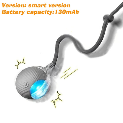 Smart Auto-Rolling Dog Ball Toy
