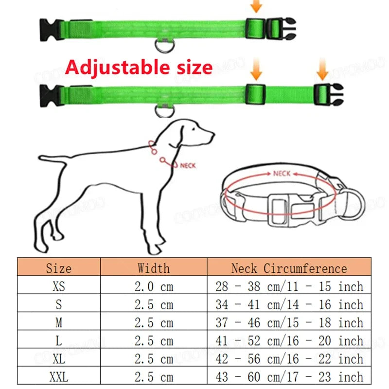 USB LED Dog Collar – Adjustable Nylon Safety Light