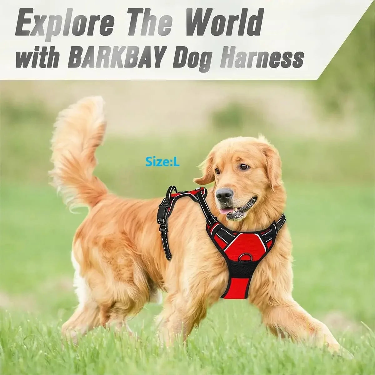 Leather Dog Collar &amp; Harness Set with Leash – Puppy Accessories for Small &amp; Medium Dogs