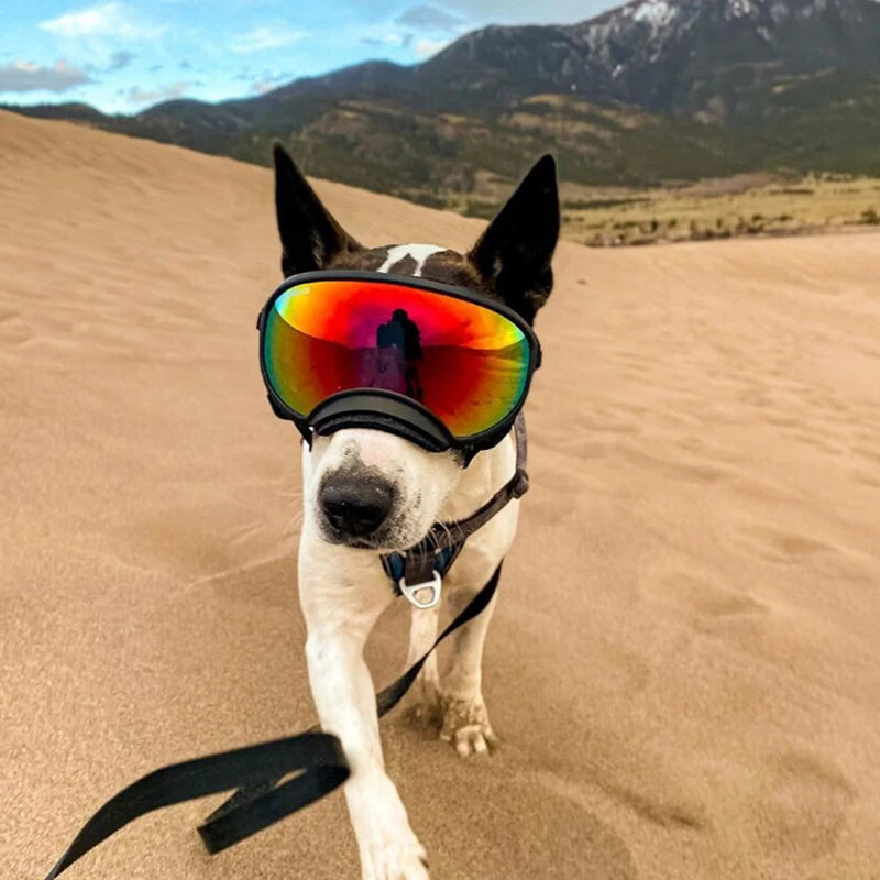Dog Goggles – UV Protection, Windproof, Anti-Fog