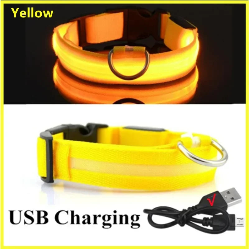USB LED Dog Collar – Adjustable Nylon Safety Light