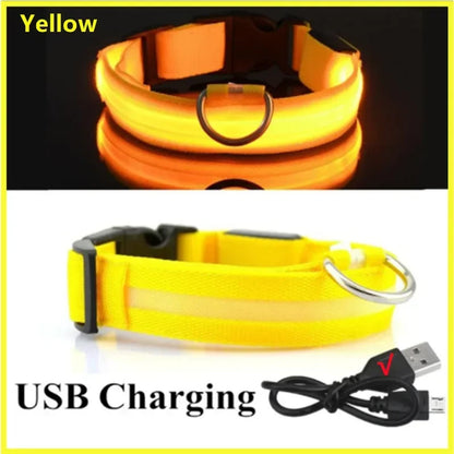 USB LED Dog Collar – Adjustable Nylon Safety Light