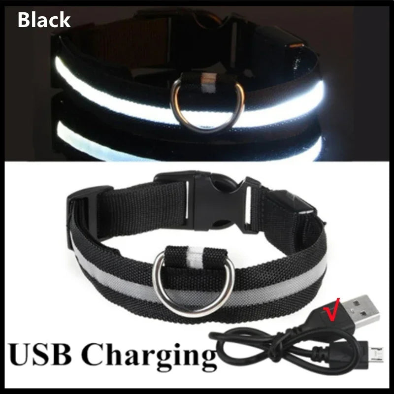 USB LED Dog Collar – Adjustable Nylon Safety Light