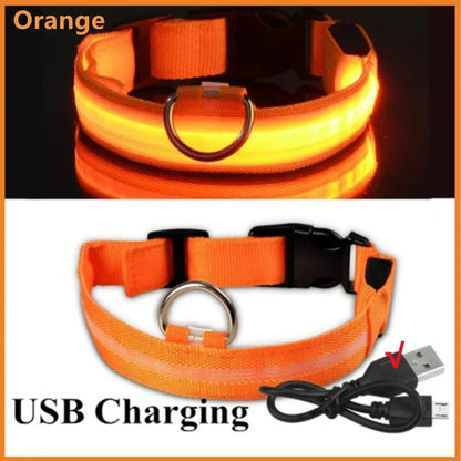 USB LED Dog Collar – Adjustable Nylon Safety Light