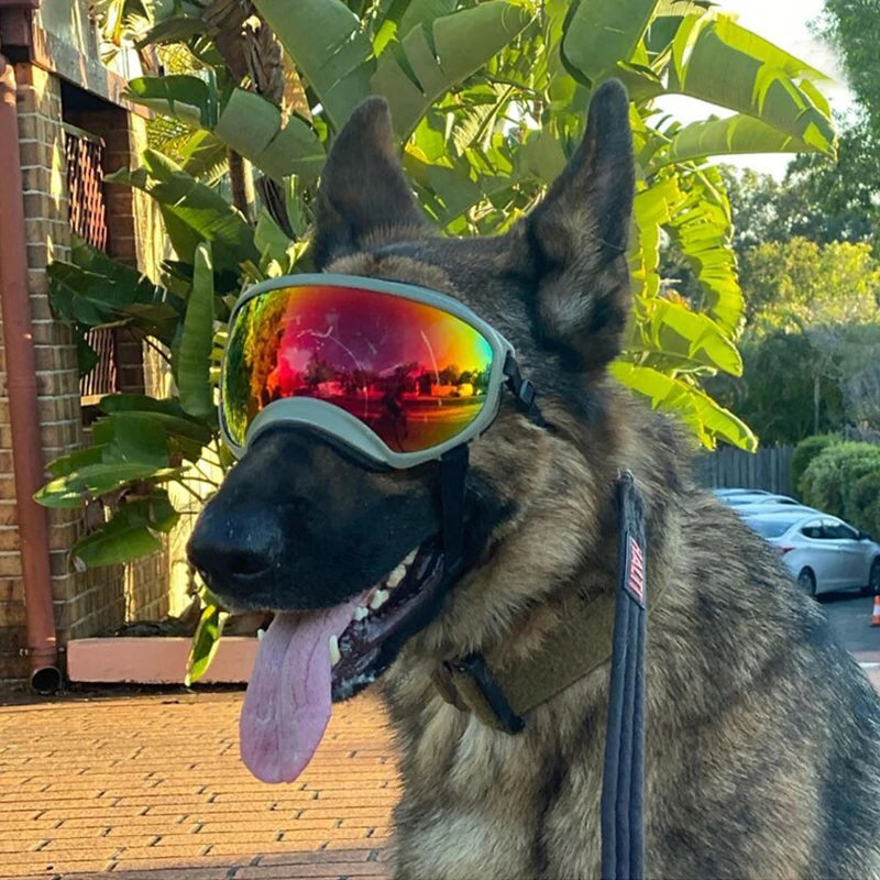Anti-UV Windproof Dog Goggles