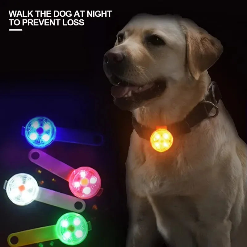 LED Pet Safety Collar – USB Rechargeable, Weatherproof