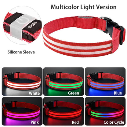LED Rechargeable Light Up Dog Safety Collar