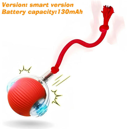 Smart Auto-Rolling Dog Ball Toy
