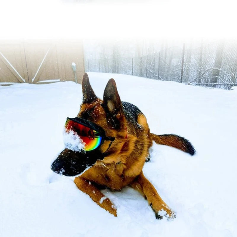 Anti-UV Windproof Dog Goggles