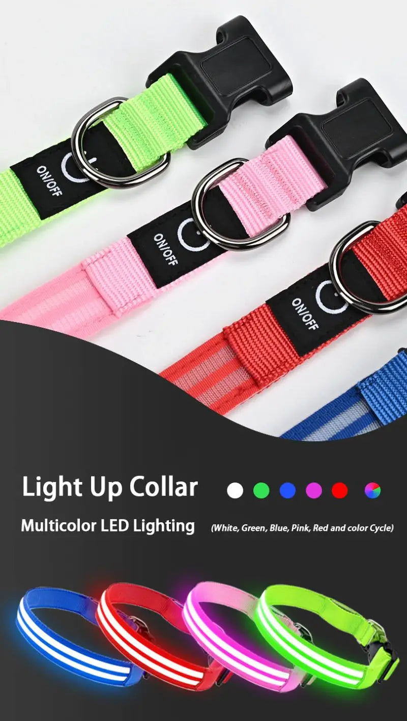 LED Rechargeable Light Up Dog Safety Collar