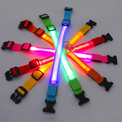 USB LED Dog Collar – Adjustable Nylon Safety Light