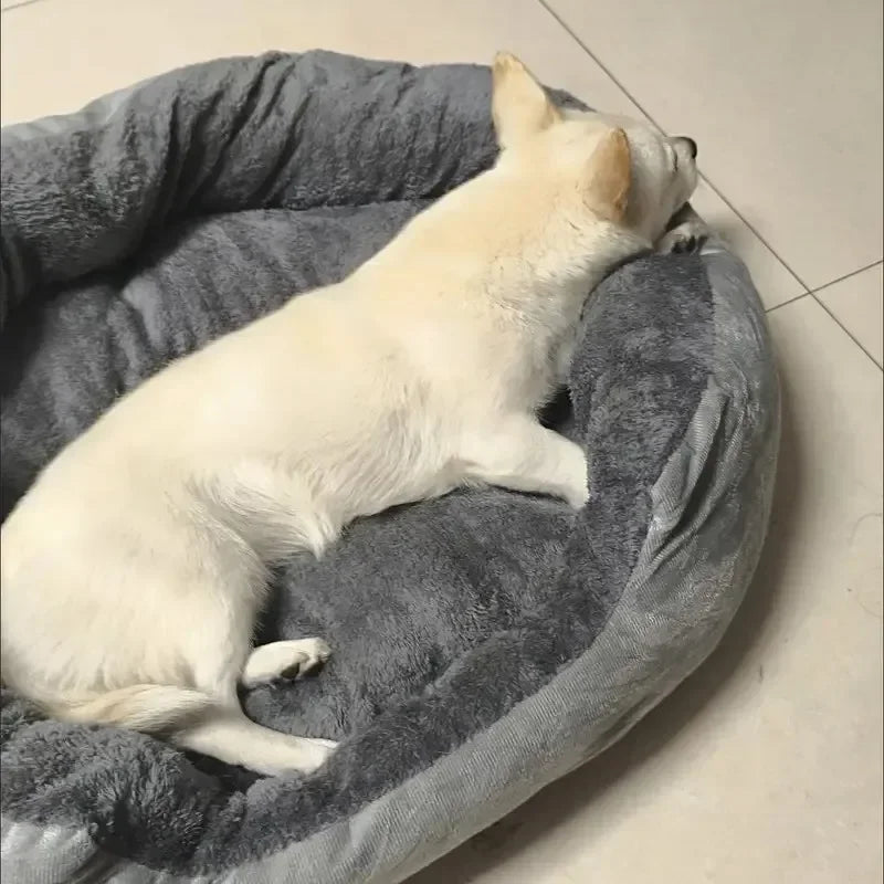 Warm &amp; Soft Pet Bed