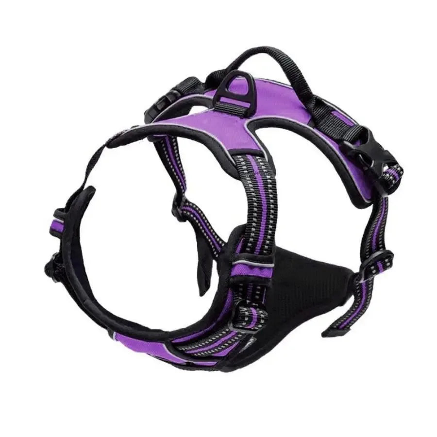 Leather Dog Collar &amp; Harness Set with Leash – Puppy Accessories for Small &amp; Medium Dogs