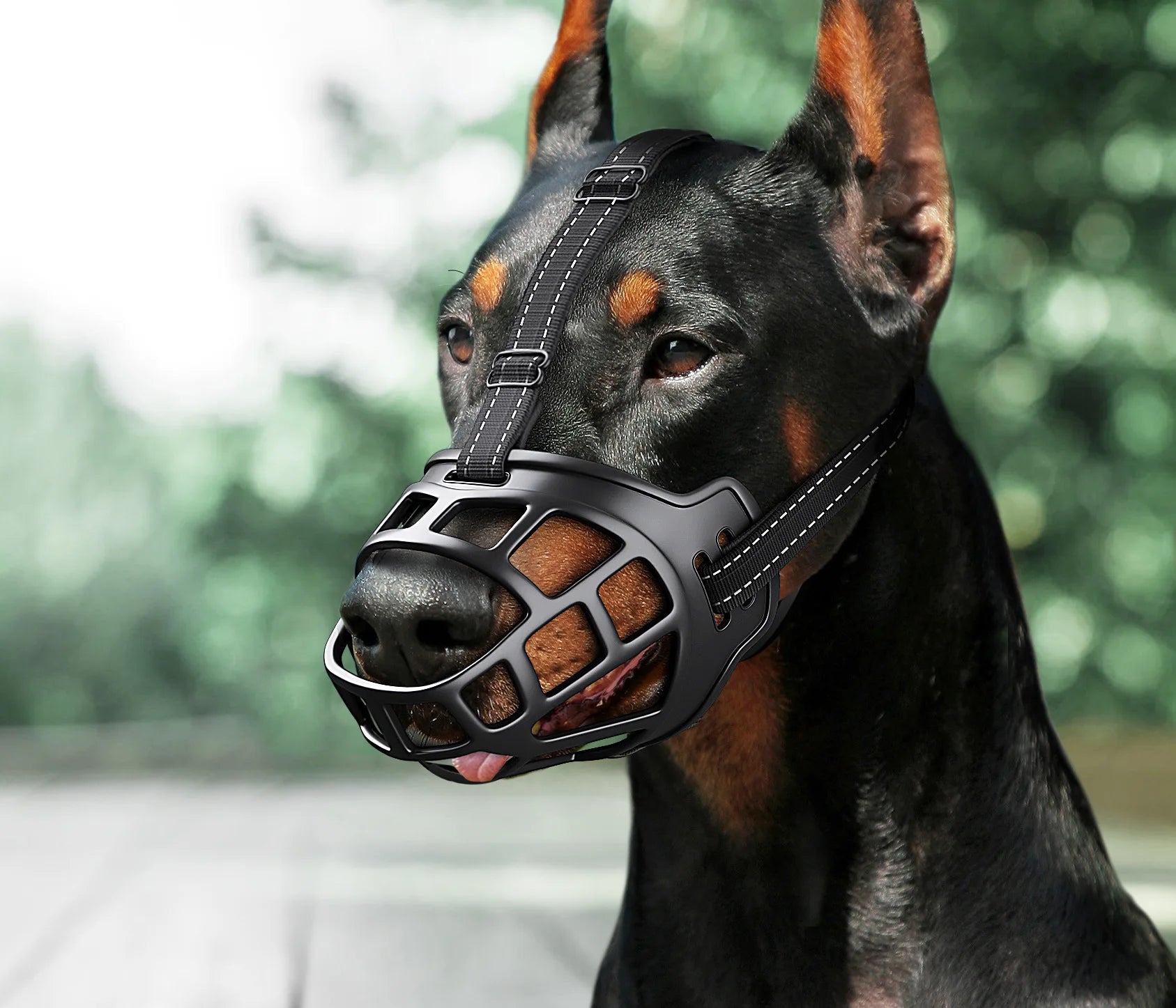 Adjustable Dog Muzzle