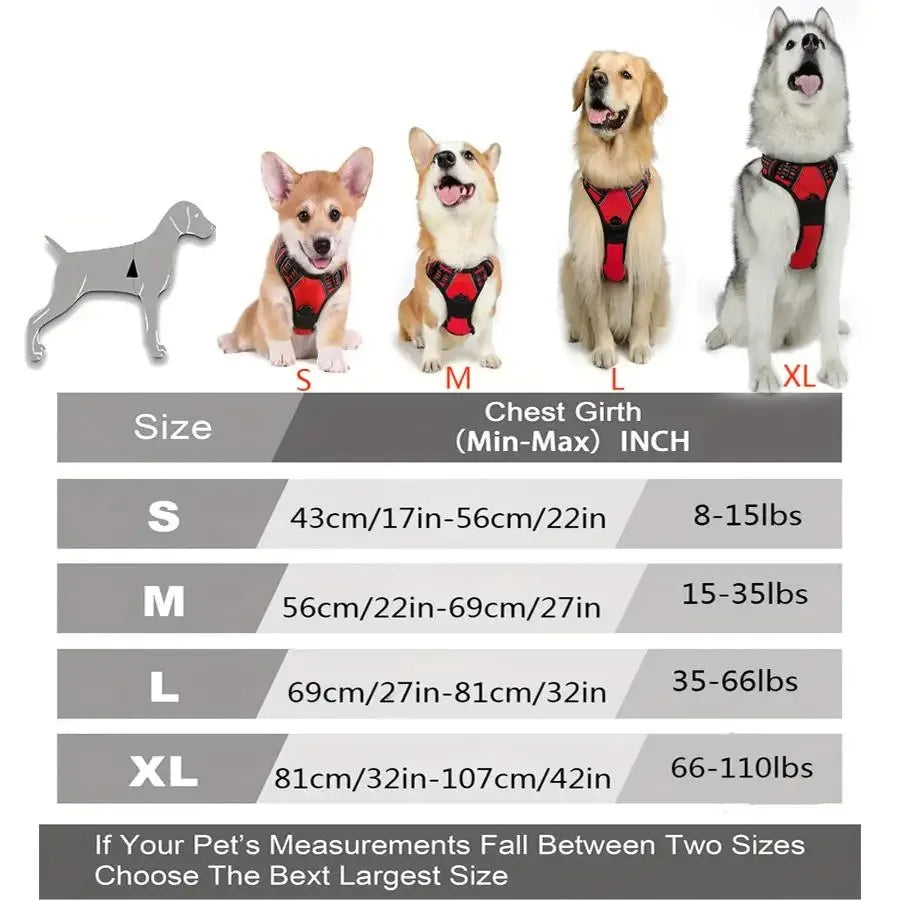 Leather Dog Collar &amp; Harness Set with Leash – Puppy Accessories for Small &amp; Medium Dogs