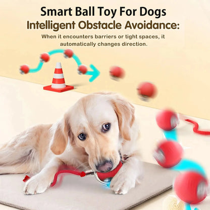 Smart Auto-Rolling Dog Ball Toy