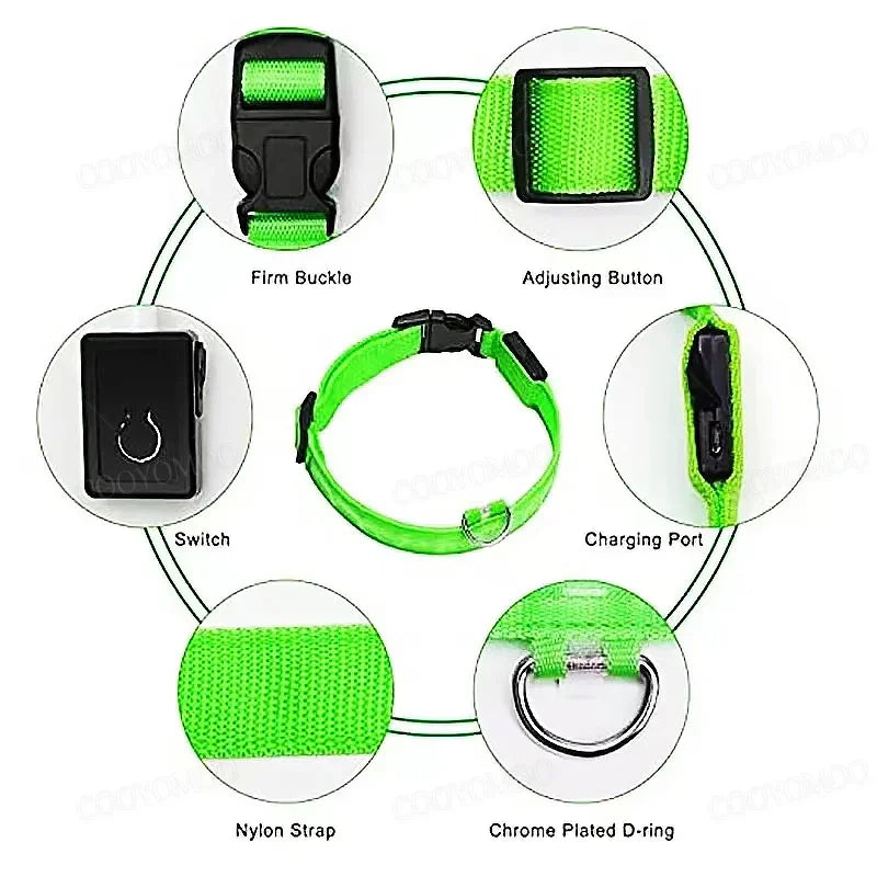 USB LED Dog Collar – Adjustable Nylon Safety Light