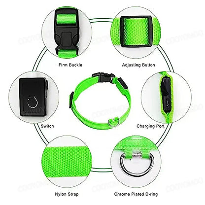 USB LED Dog Collar – Adjustable Nylon Safety Light