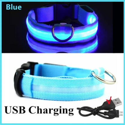 USB LED Dog Collar – Adjustable Nylon Safety Light