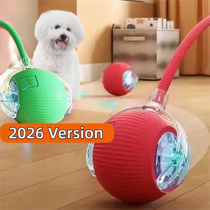 Smart Auto-Rolling Dog Ball Toy