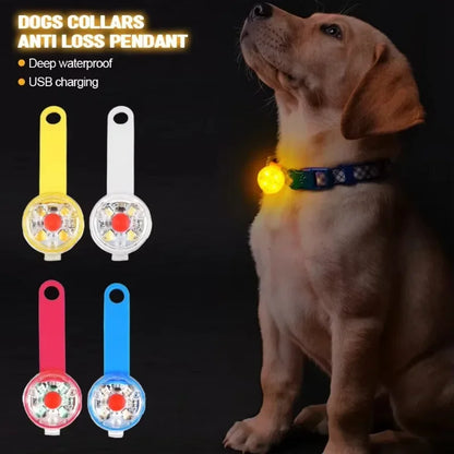 LED Pet Safety Collar – USB Rechargeable, Weatherproof