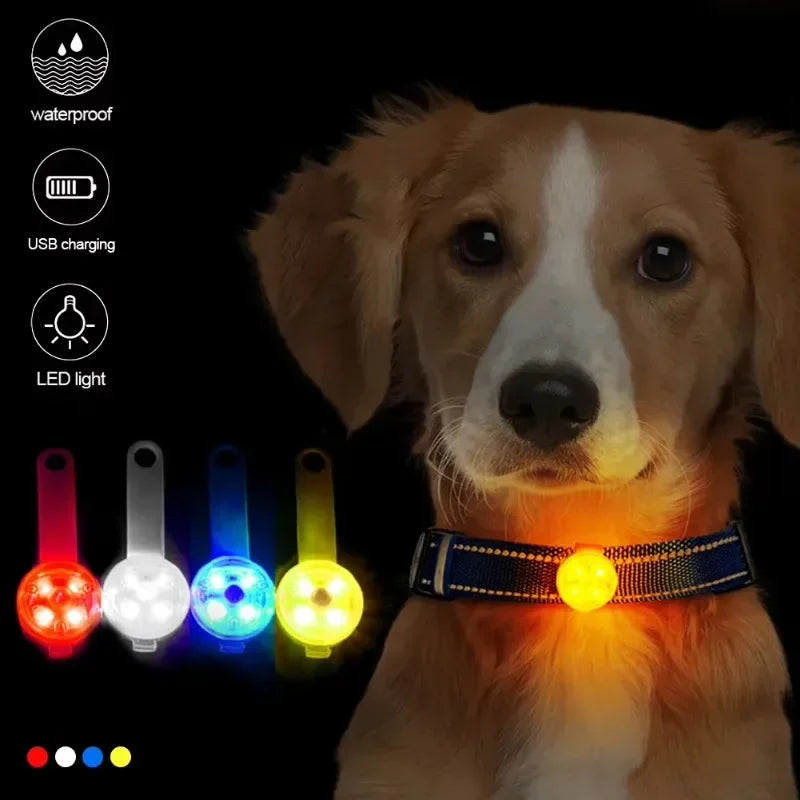 LED Pet Safety Collar – USB Rechargeable, Weatherproof