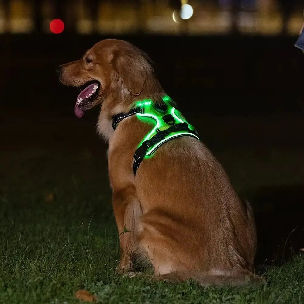Breathable LED Rechargeable Dog Harness