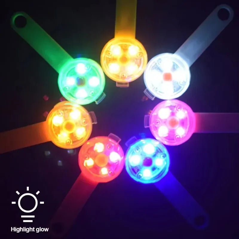 LED Pet Safety Collar – USB Rechargeable, Weatherproof