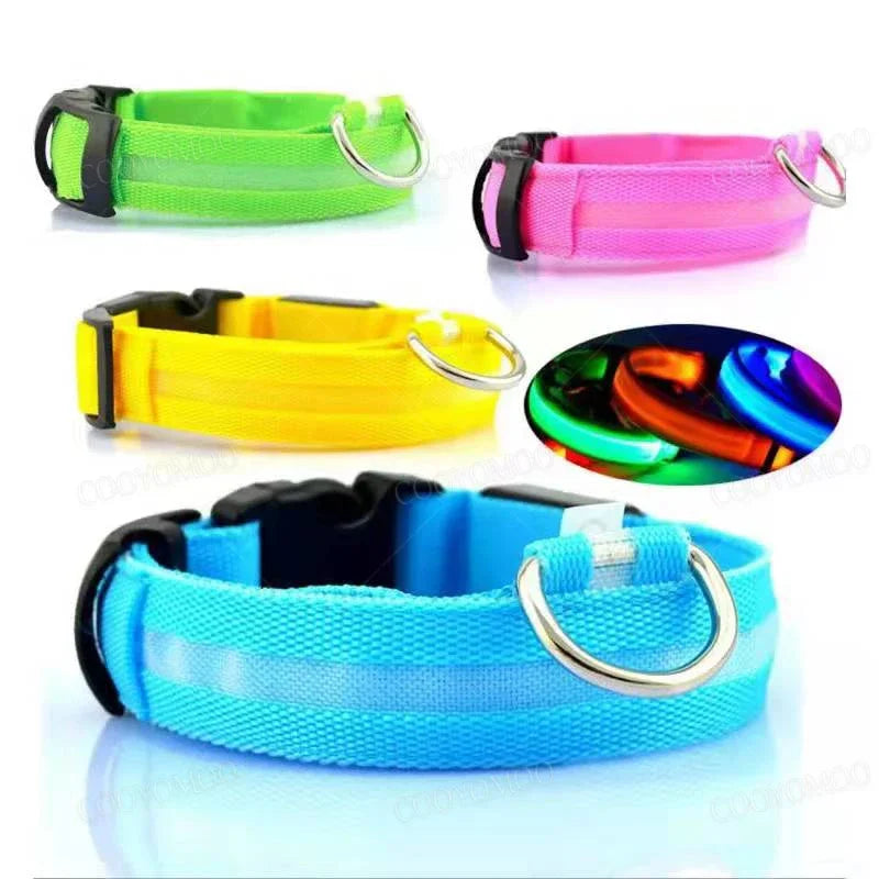 USB LED Dog Collar – Adjustable Nylon Safety Light