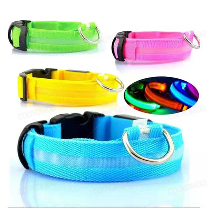 USB LED Dog Collar – Adjustable Nylon Safety Light