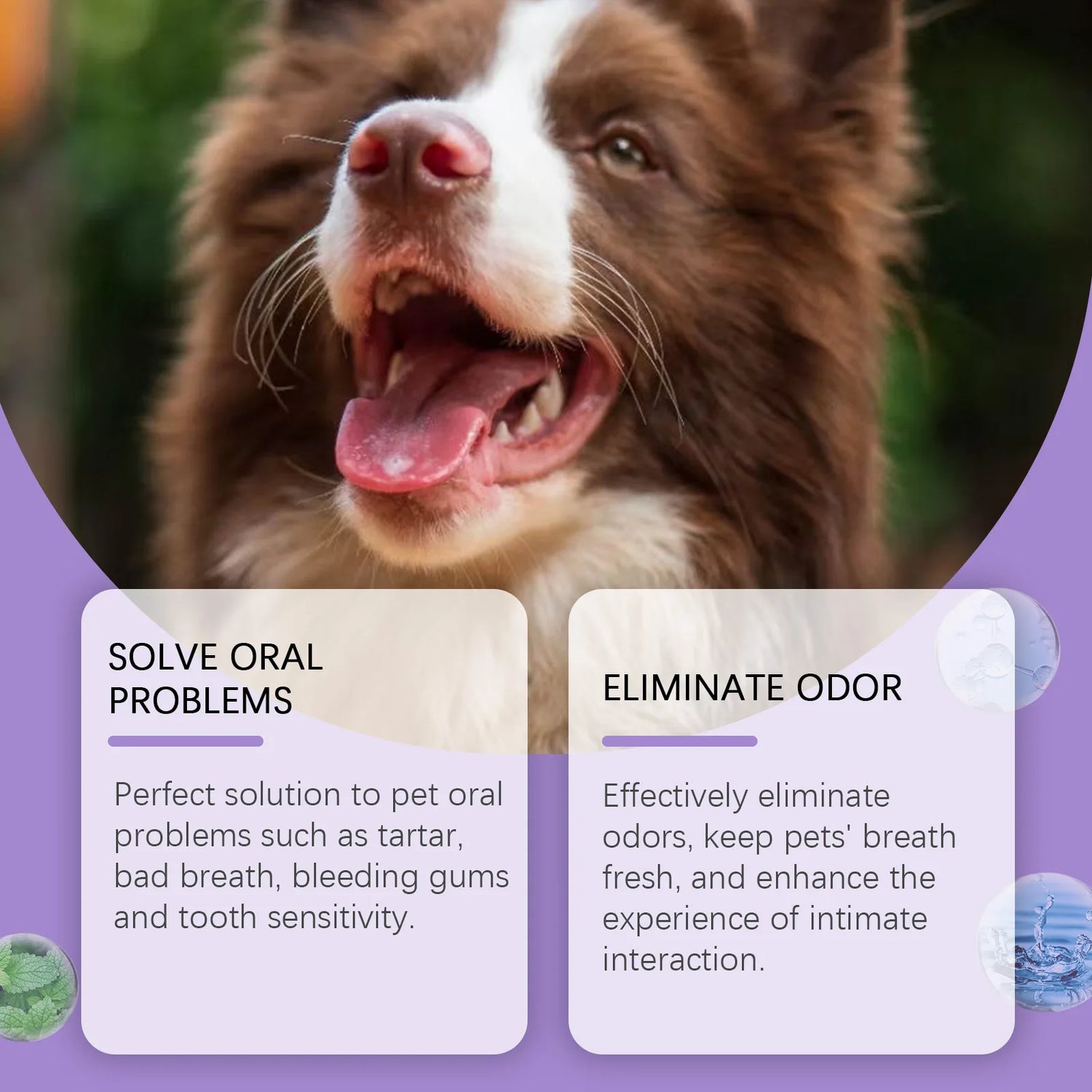 Pet Oral Cleaning Spray for Dogs and Cats