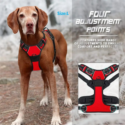 Leather Dog Collar &amp; Harness Set with Leash – Puppy Accessories for Small &amp; Medium Dogs