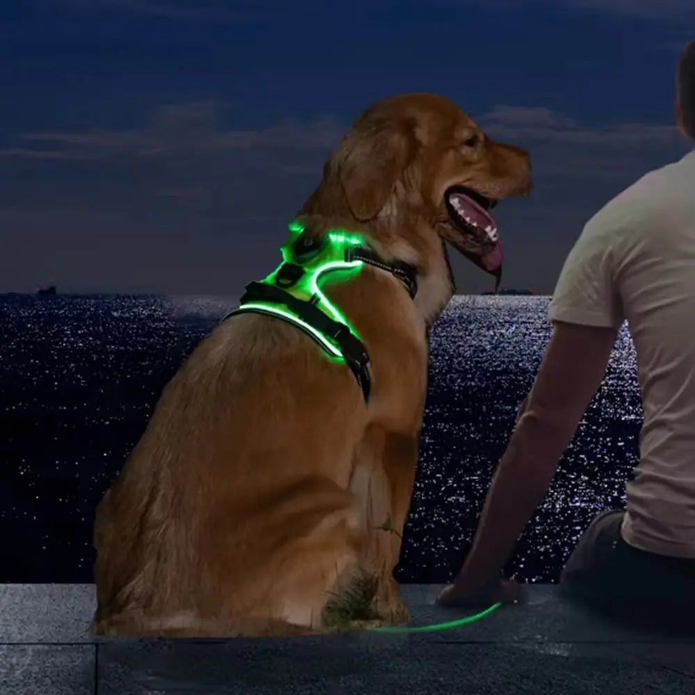 Breathable LED Rechargeable Dog Harness