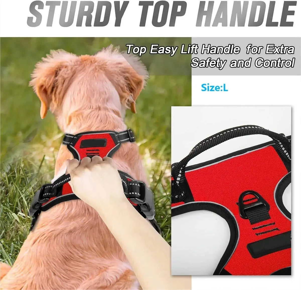 Leather Dog Collar &amp; Harness Set with Leash – Puppy Accessories for Small &amp; Medium Dogs
